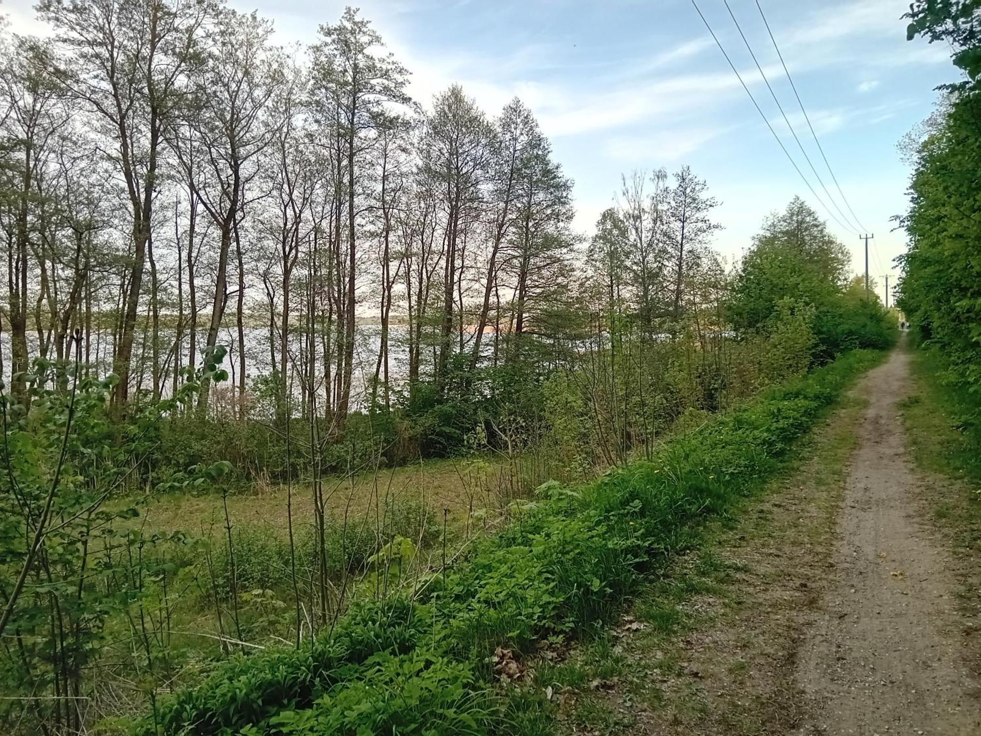 Pokoje Goscinne Sloneczny Klon Dabrowno Kültér fotó
